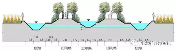 湖北小龍蝦